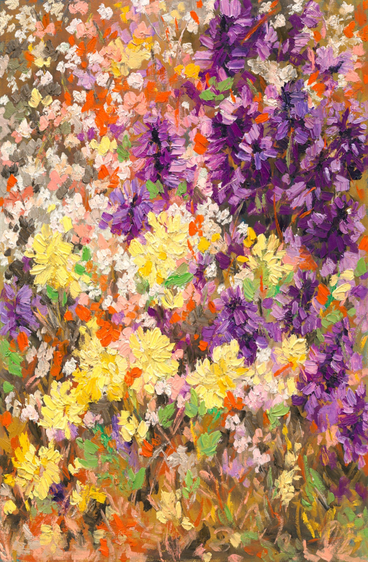 Australian Wildflower - Limited Edition Print Portrait