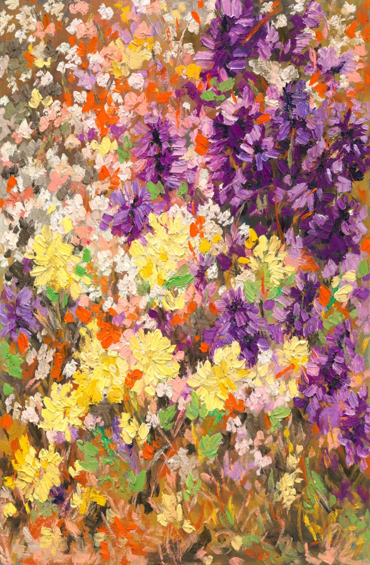 Commission Paraburdoo  and Wildflower