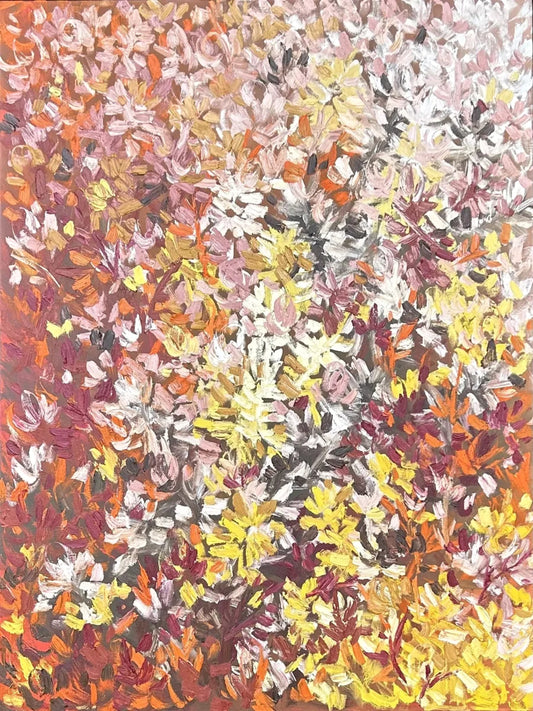 Paraburdoo Wanderings