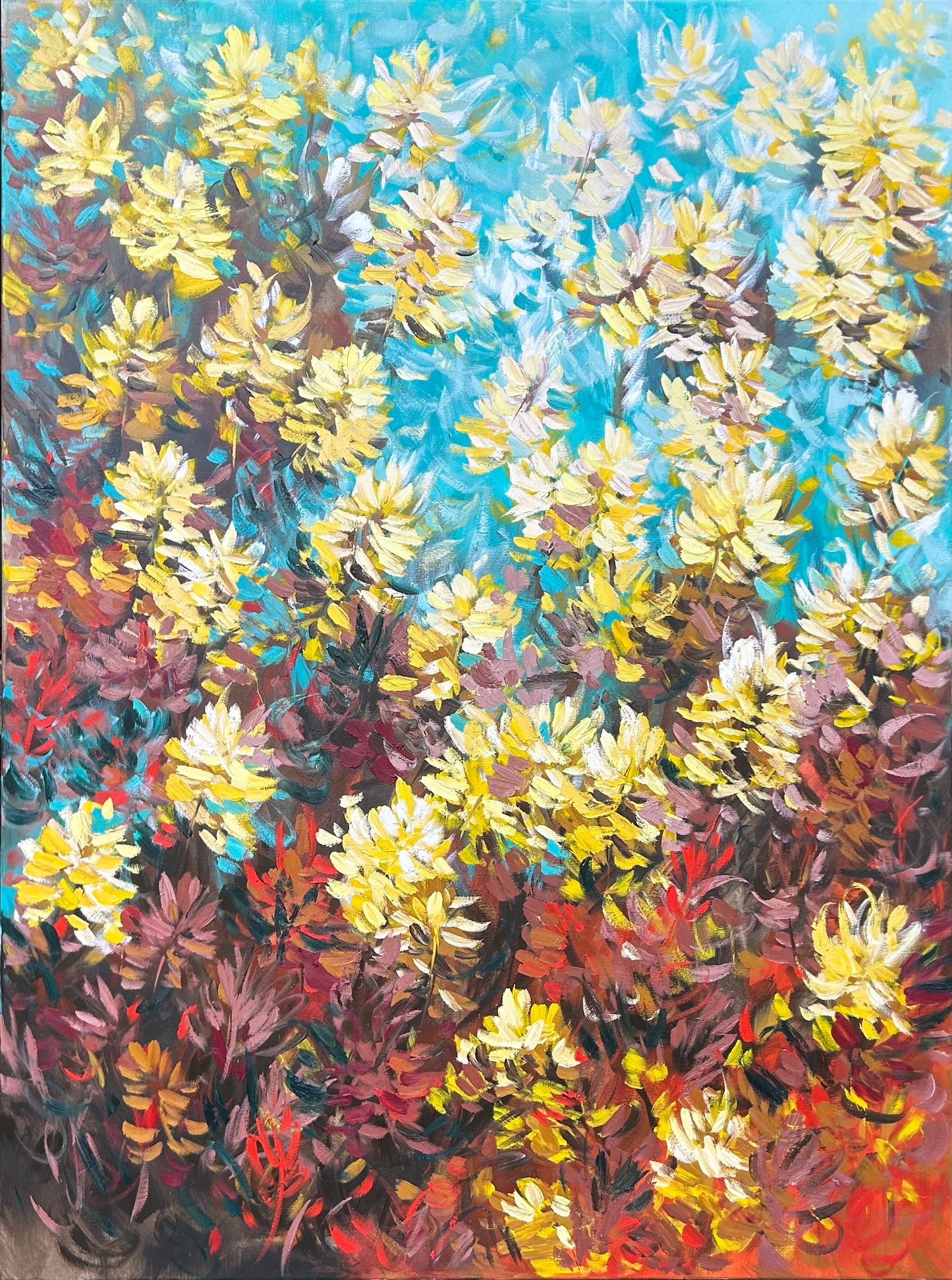 Commission Paraburdoo  and Wildflower
